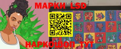 прущие крисы Шахты
