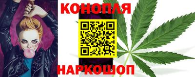 прущие грибы Шелехов